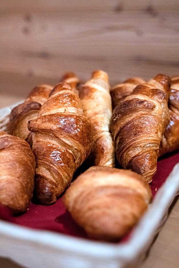 Hotel Dolomiti Des Alpes