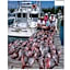 Holiday Villas III #311