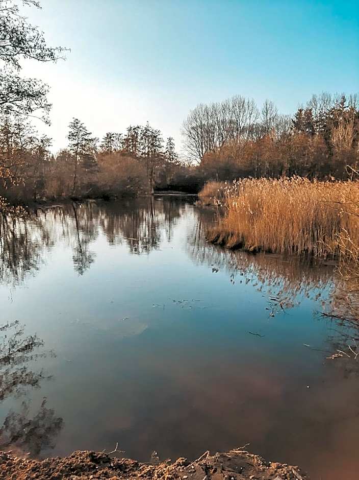 B&B Hoeve Westdijk