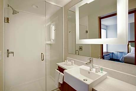 Suite, 1 King Bed with Sofa bed (1 King Bed and 1 Double Sofa Bed)