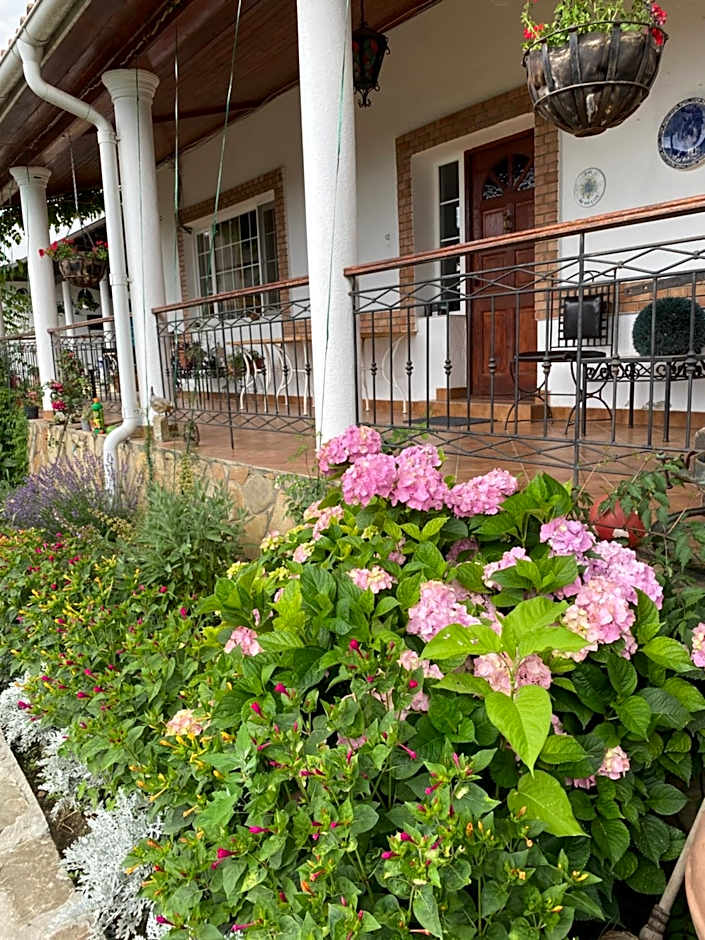 Country Club La Mesteceni