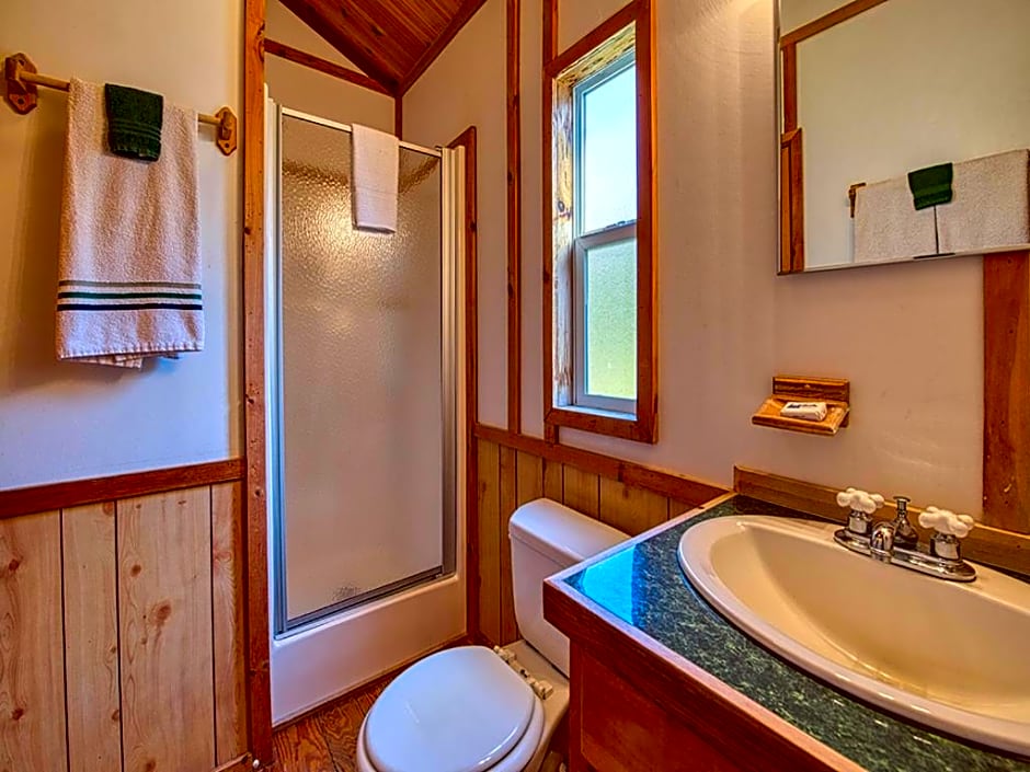 Maggie Valley Cabin Rentals