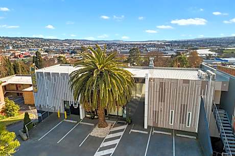 Areca Launceston