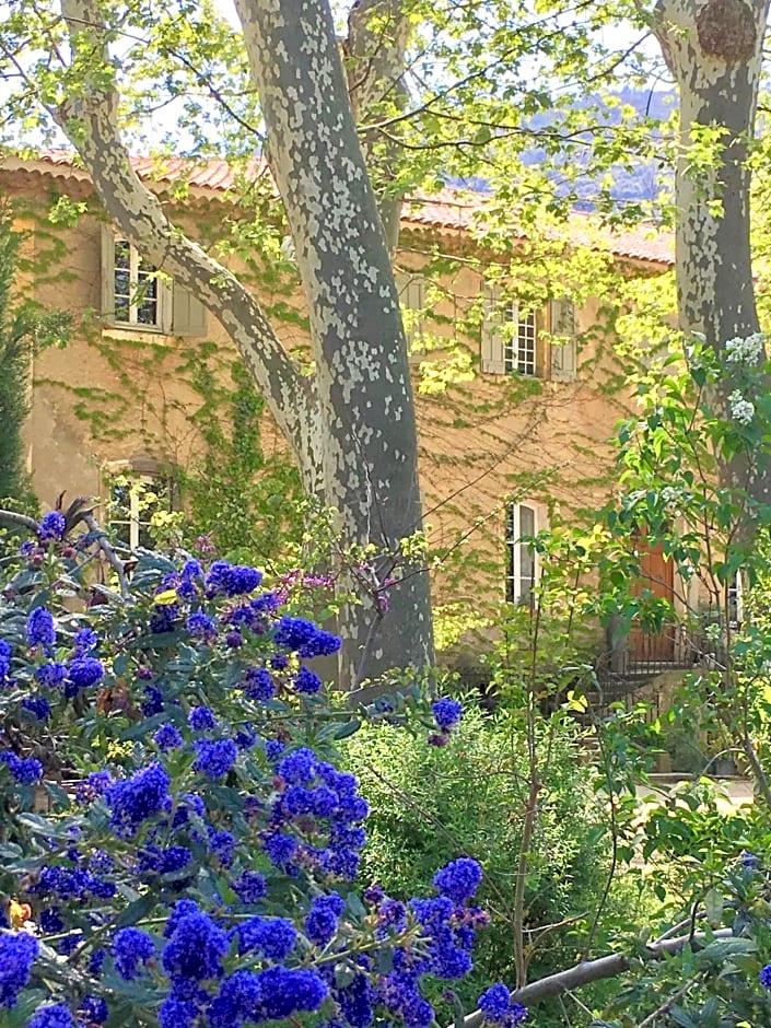 B&B Maison d'Hôtes - Château de Jouques