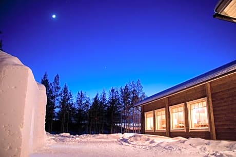 Arctic Snow
