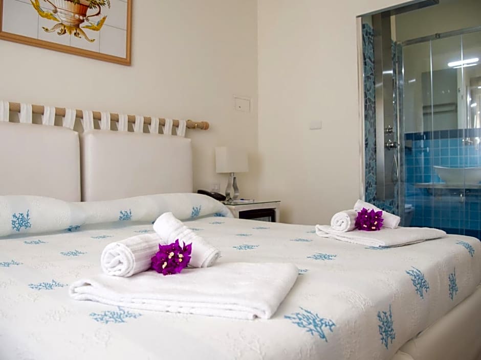 Hotel Palau