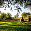 Sable Creek Safari Lodge