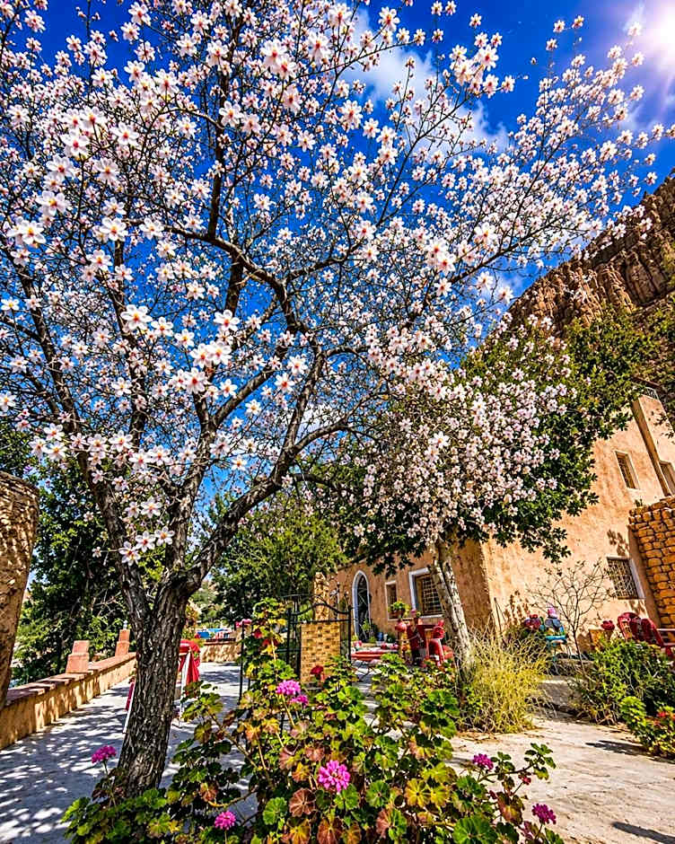 Riad Kasbah des Roches