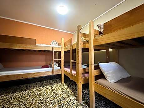 Bed in 6-Bed Mixed Dormitory Room