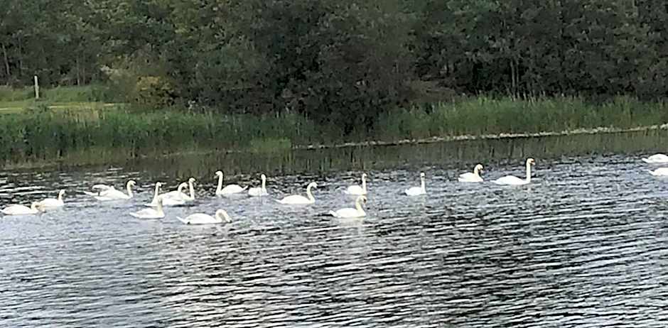 St Kyrans Guest House