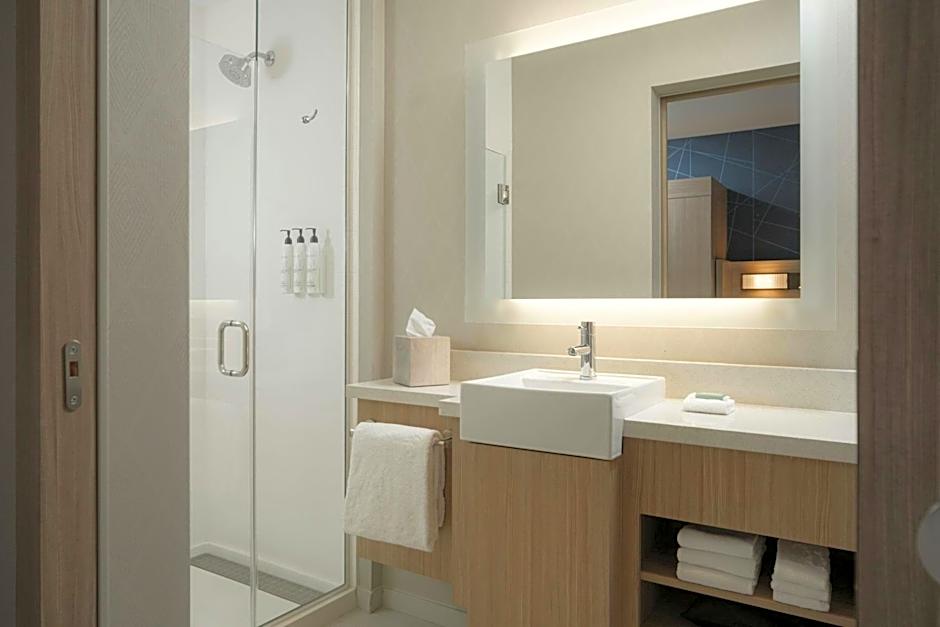 SpringHill Suites by Marriott Tampa Downtown