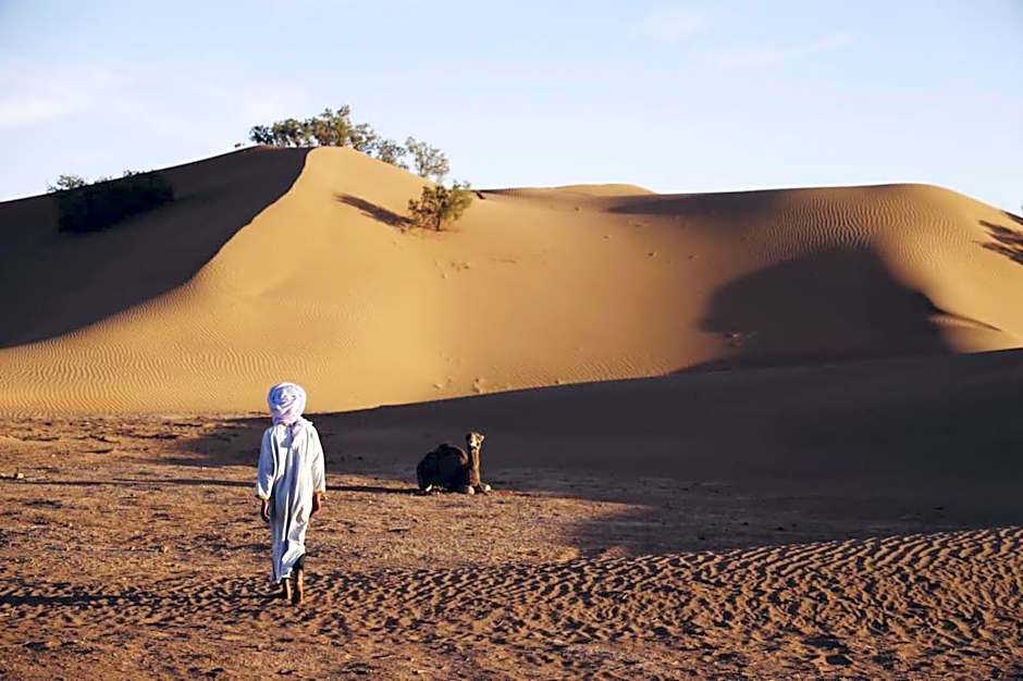 Bivouac beauté du désert