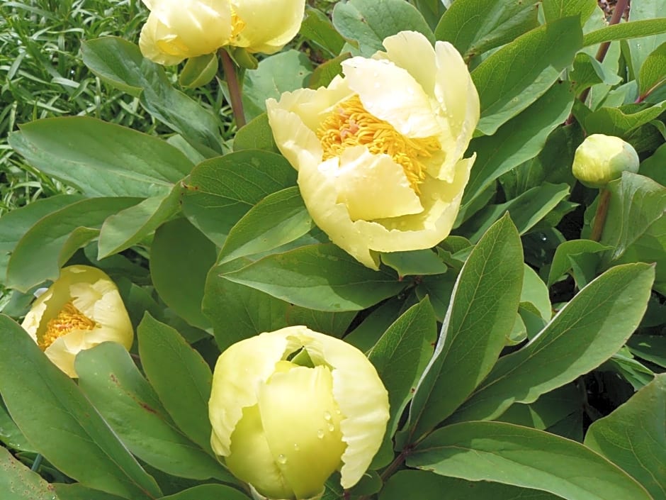 Maison d'hotes Sainte Genevieve