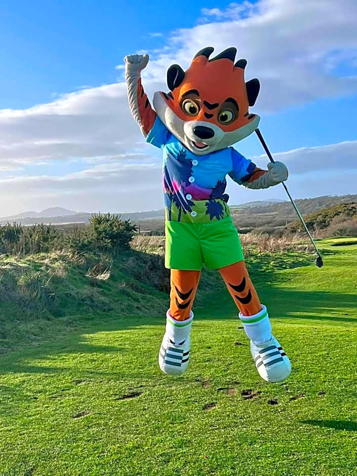 Snowdonia View@puffin Lodges