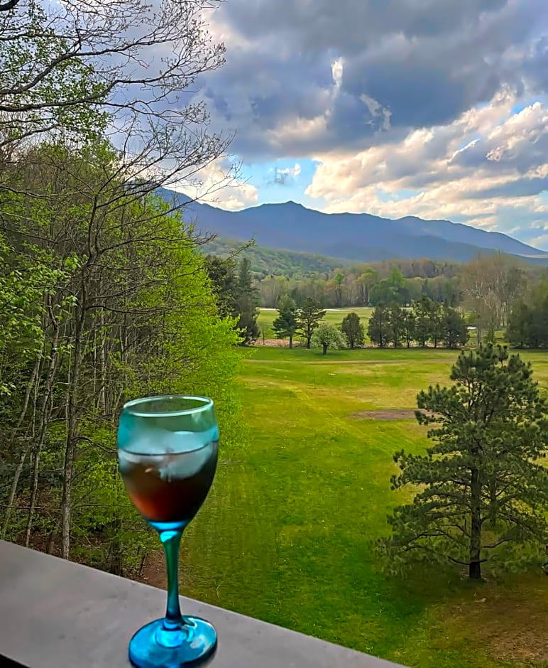 Mt Mitchell Cabin Rentals