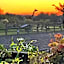 Bybrook Barn Bed & Breakfast