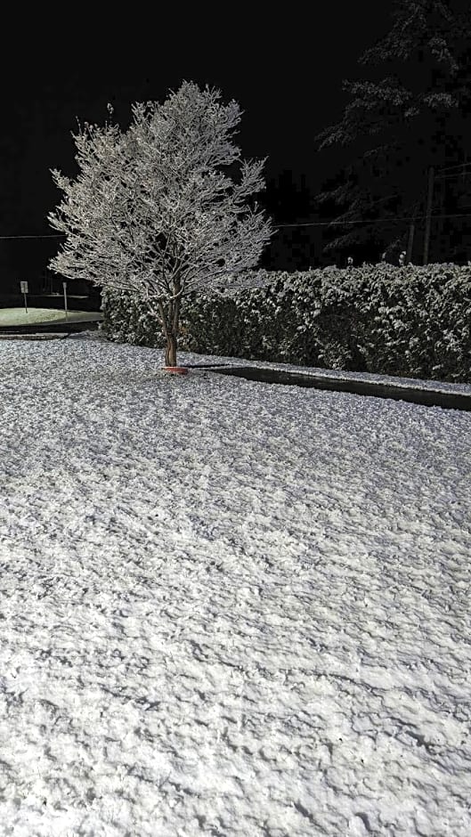 Knights Inn Bracebridge