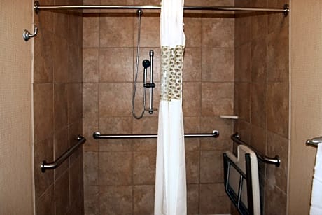 1 King Mobility Hearing Accessible Roll In Shower Studio Non-Smoking