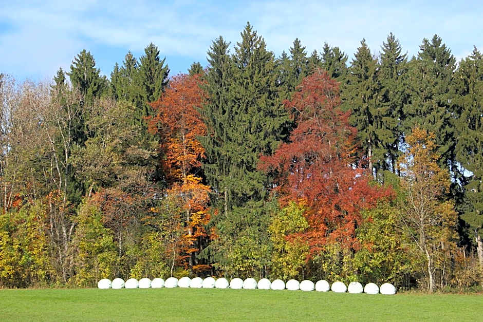 Gasthof Landhotel Hirsch