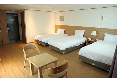 Triple Room with Terrace