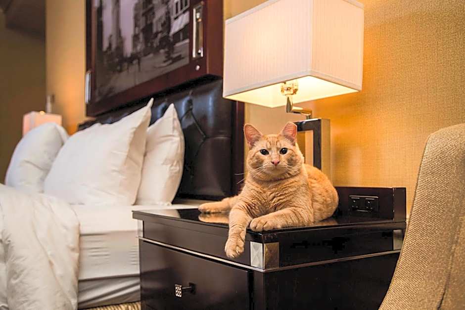 The Algonquin Hotel Times Square, Autograph Collection by Marriott
