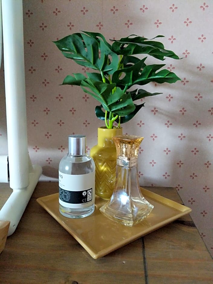 Hazler Lodge guest house