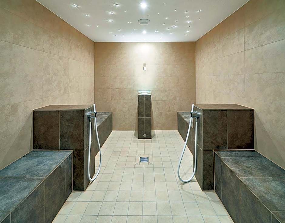 Hotel Elbresidenz an der Therme Bad Schandau