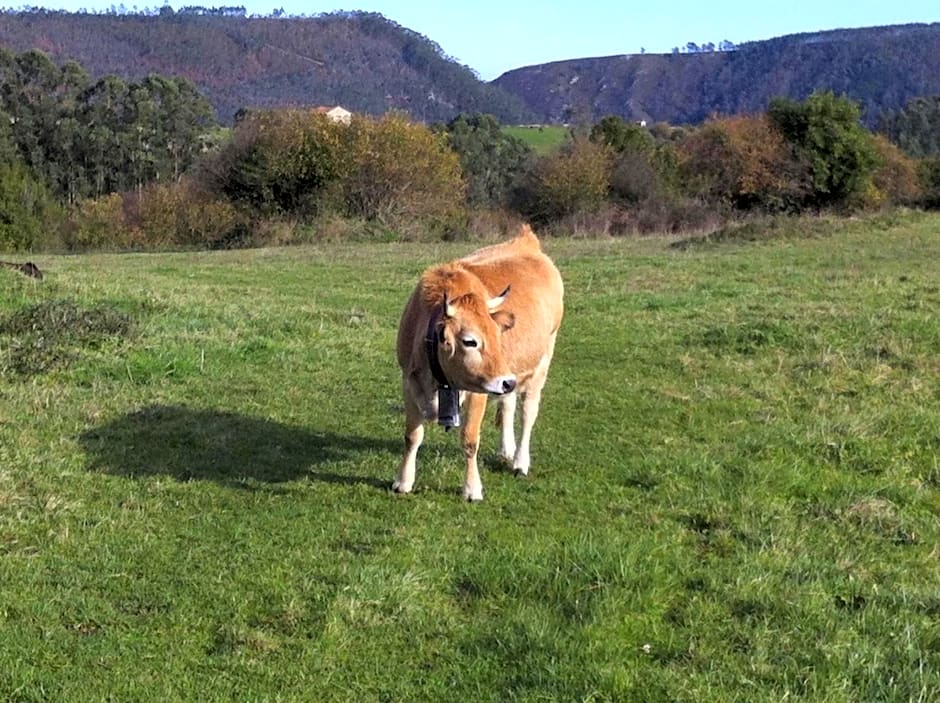 La Casuca del Esbardu Hotel