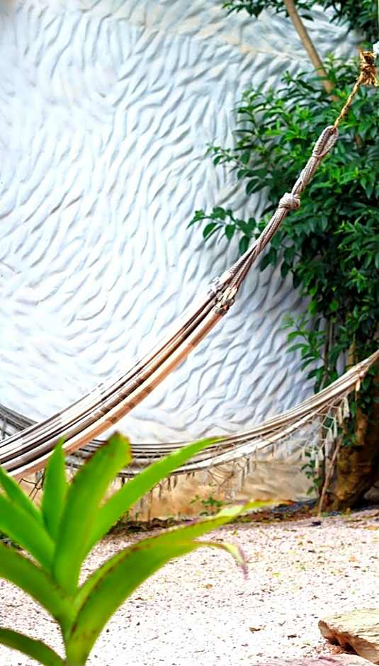 Hostel Gentileza - Guest House