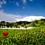 Mezzano In Chianti