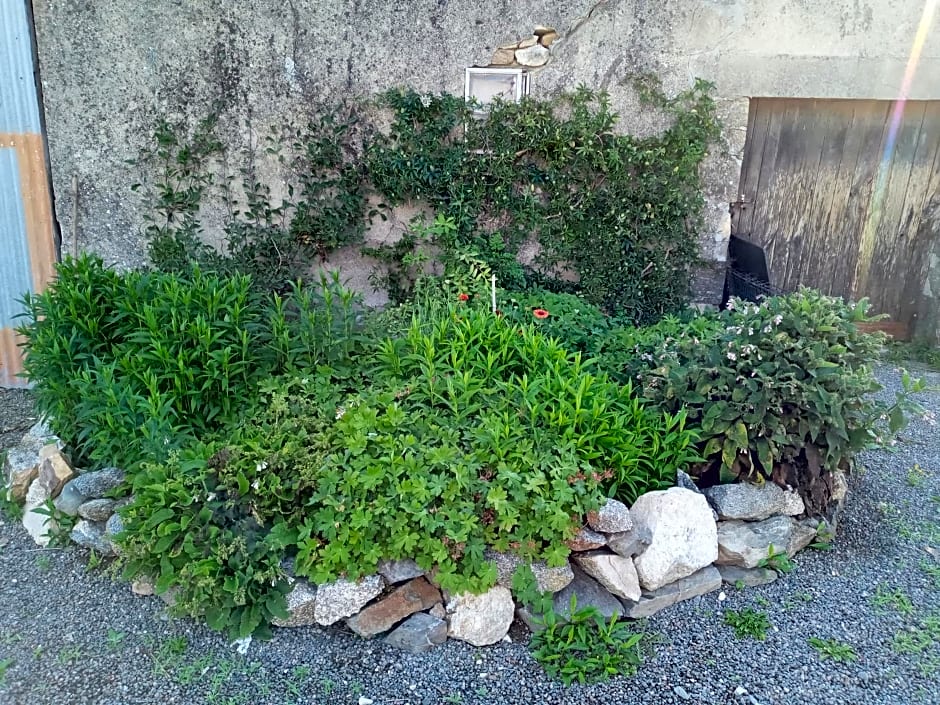 Chez Gondat Chambre d'hotes