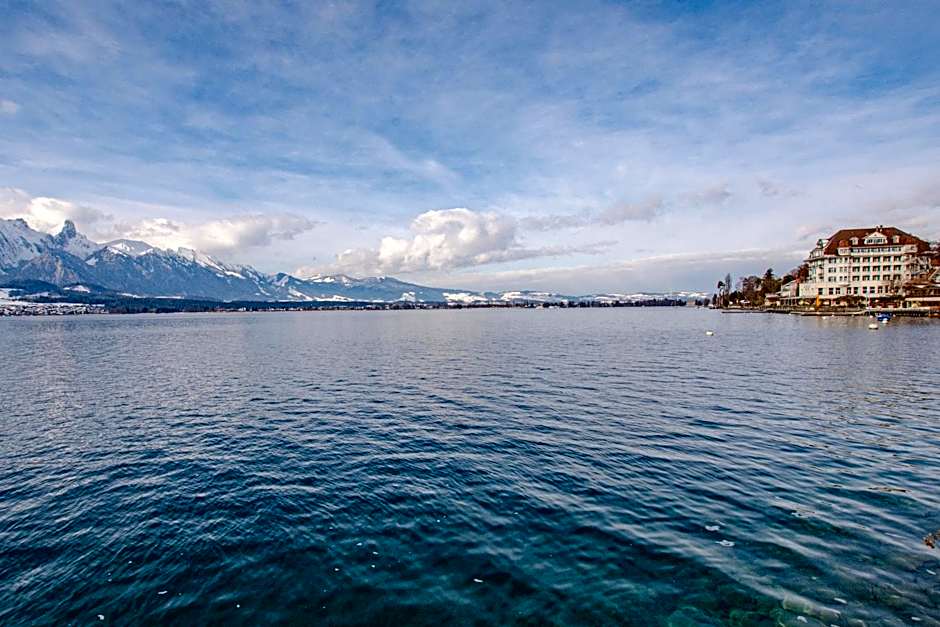 Hotel Restaurant Bellevue au Lac