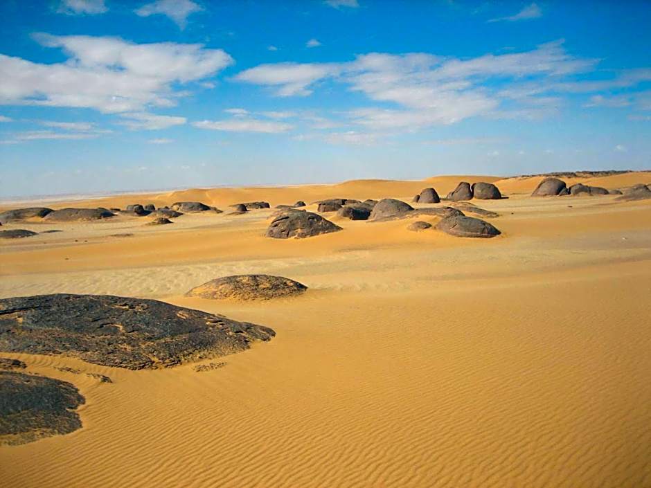 Western Desert Hotel & Safari