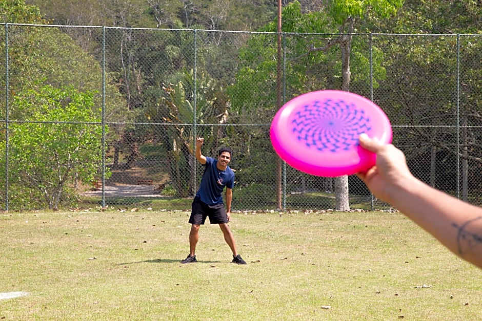 Almenat Embu das Artes Sao Paulo, Tapestry Collection