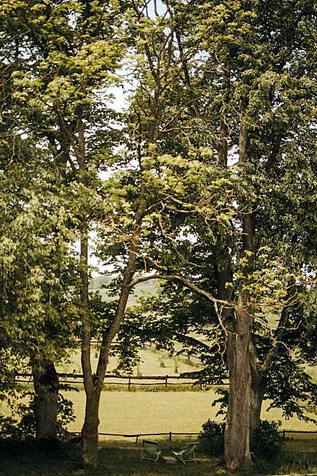 Folwark Stara Kuźnia