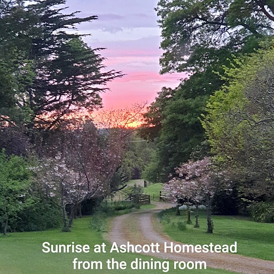 Ashcott Homestead Bed & Breakfast