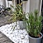 Hotel Garden