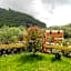 Anemona Studios