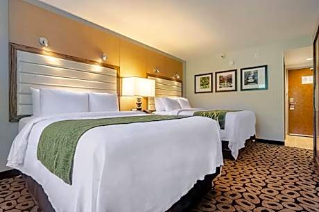 Queen Room with Two Queen Beds - Non-Smoking