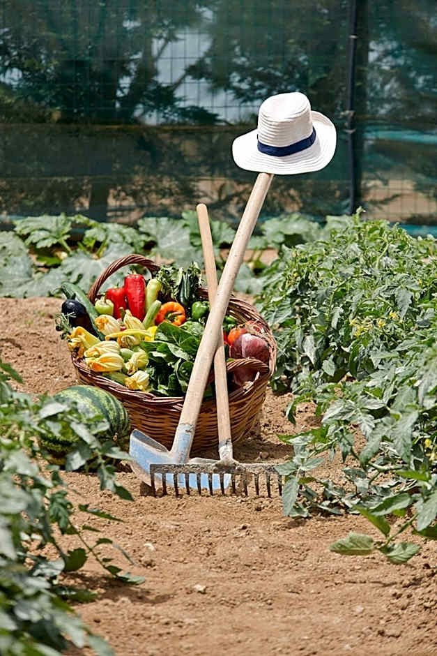 Villa Paradise in Naxos