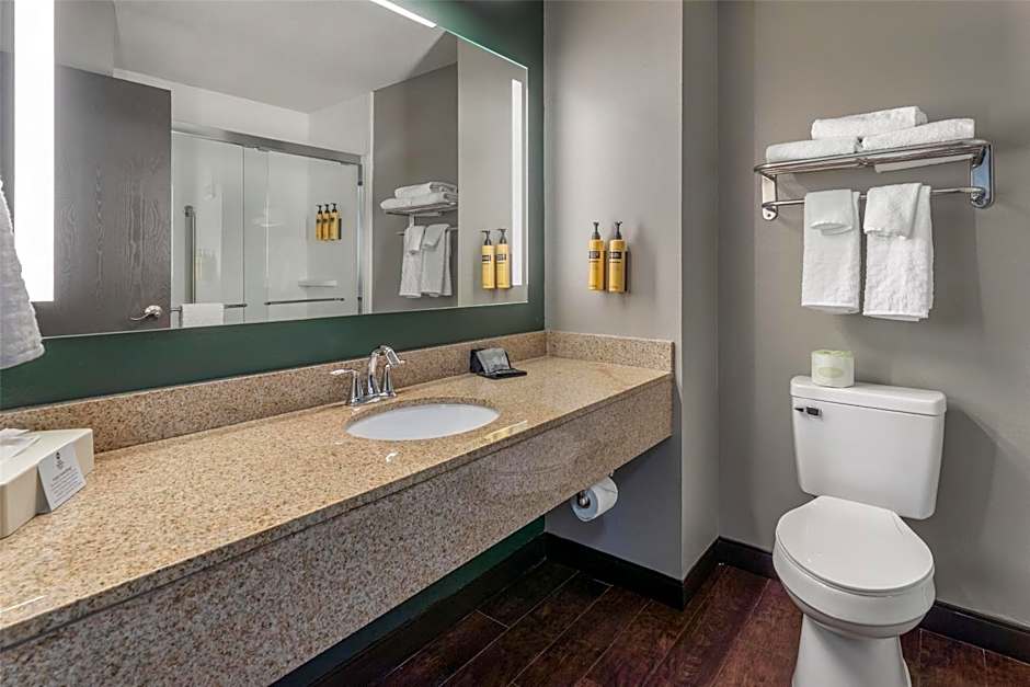 Best Western Plus Executive Inn