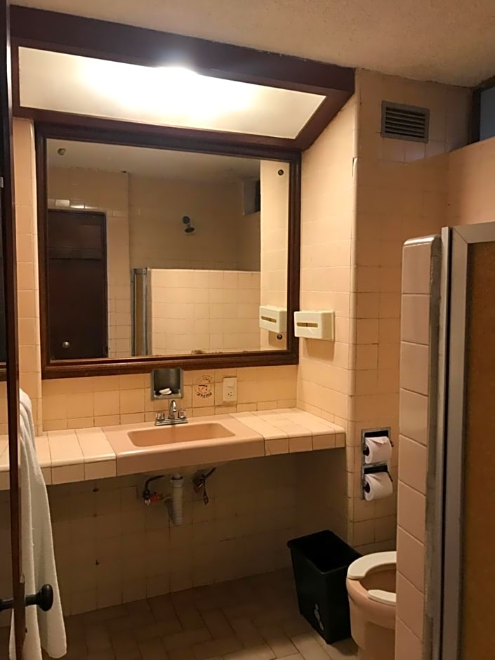 Hotel las hamacas