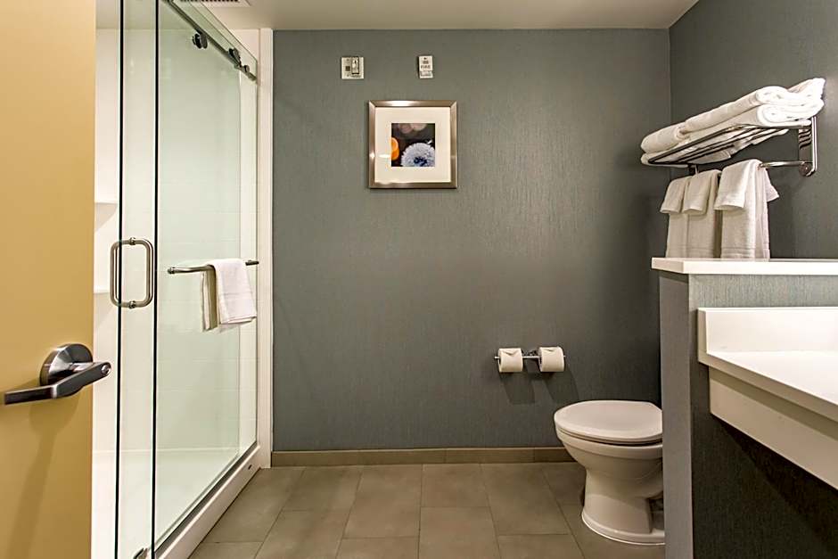 Holiday Inn Hotel & Suites Chattanooga Downtown By IHG