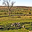 Moorland View Farm B&B