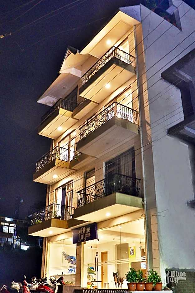 The Blue Jay Hostel - Dorms & Rooms Hotel