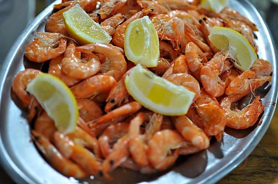 La Casona de Jovellanos