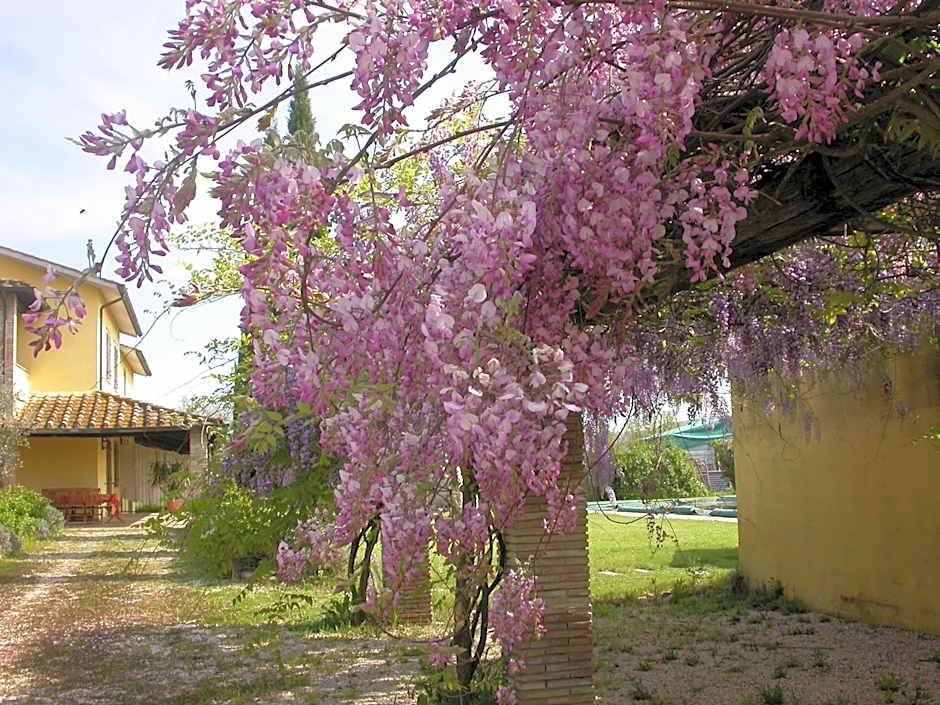 Casavacanze Sant'Eugenia