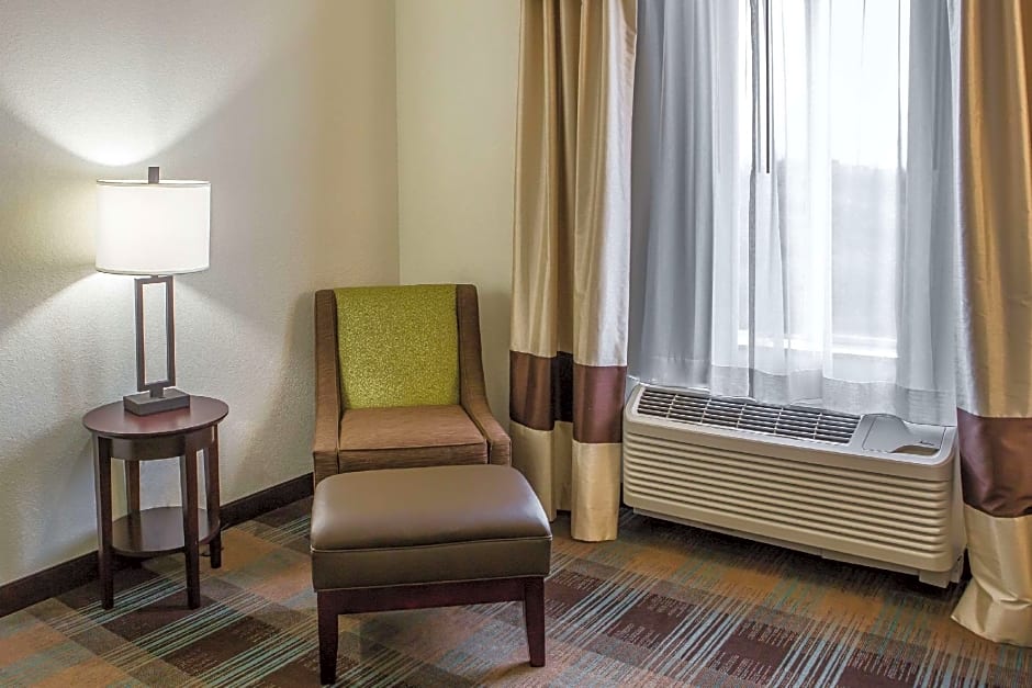 Comfort Inn Lexington South