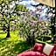 Hotel Gartenresidence Zea Curtis