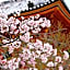 Stay SAKURA Kyoto Shijo Karasuma